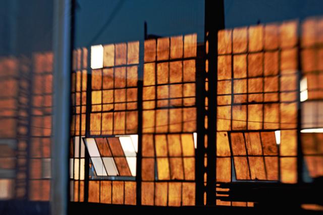 Newnan_windows_2.jpg